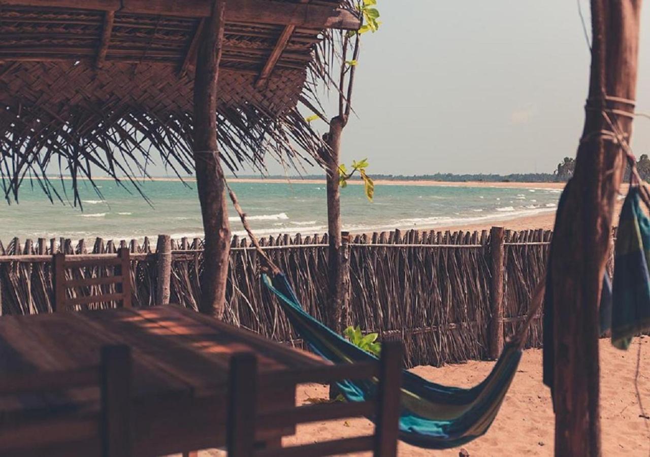 Surfpoint Sri Lanka Kite Village photo 3