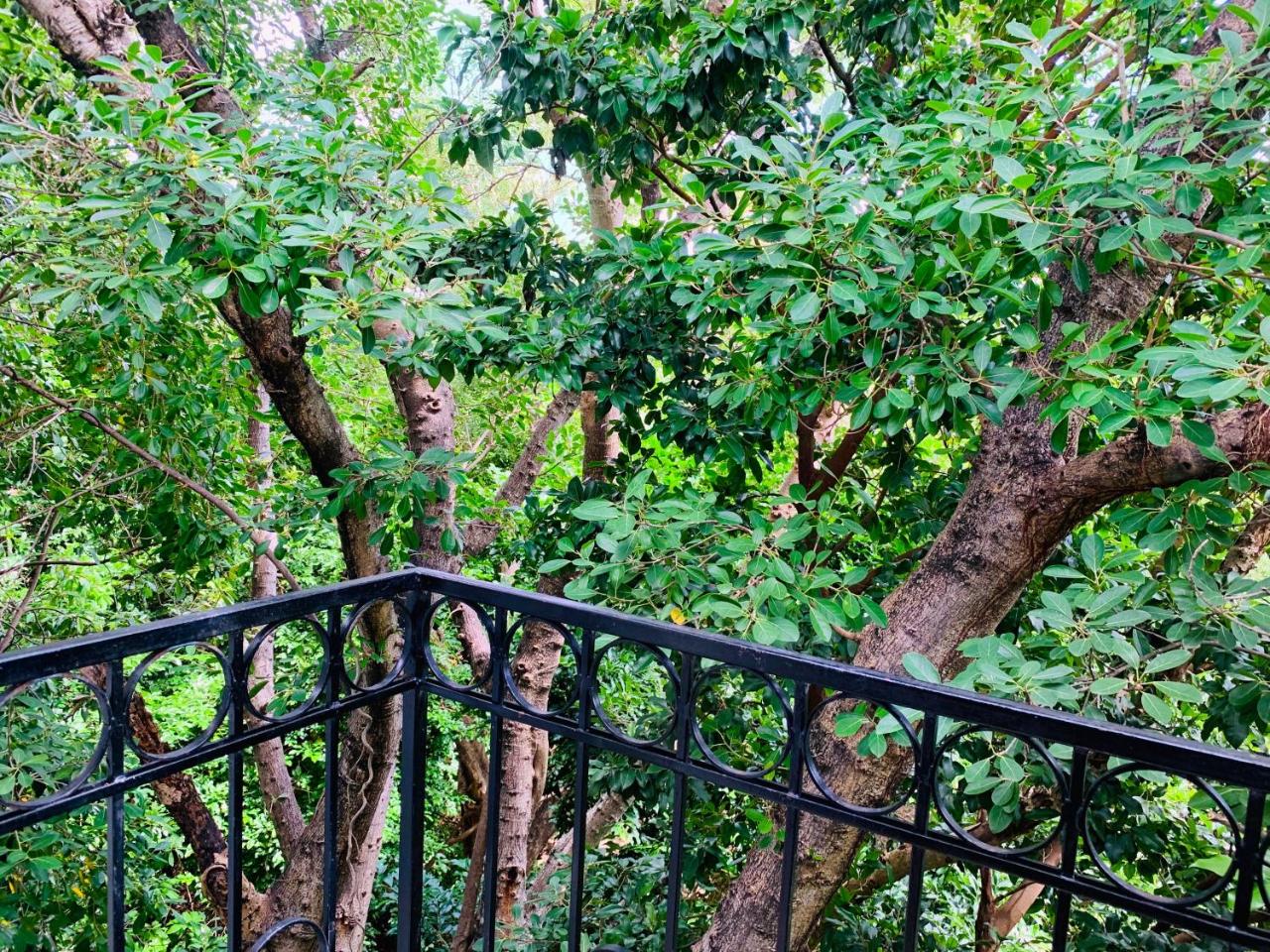 Photo - Villa Antilope