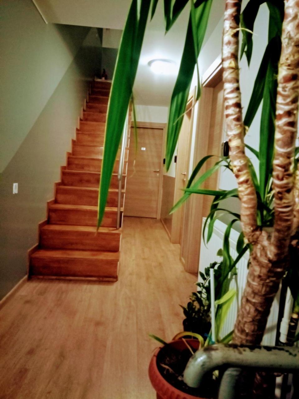 Photo - Central Guesthouse