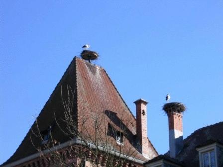 Auberge Obersolberg photo 3
