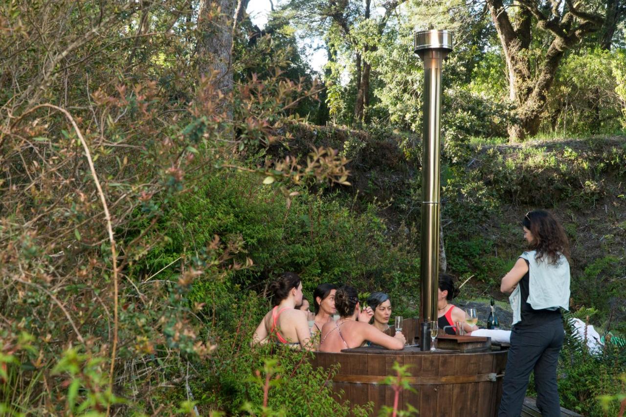 Petrohue Lodge photo 3