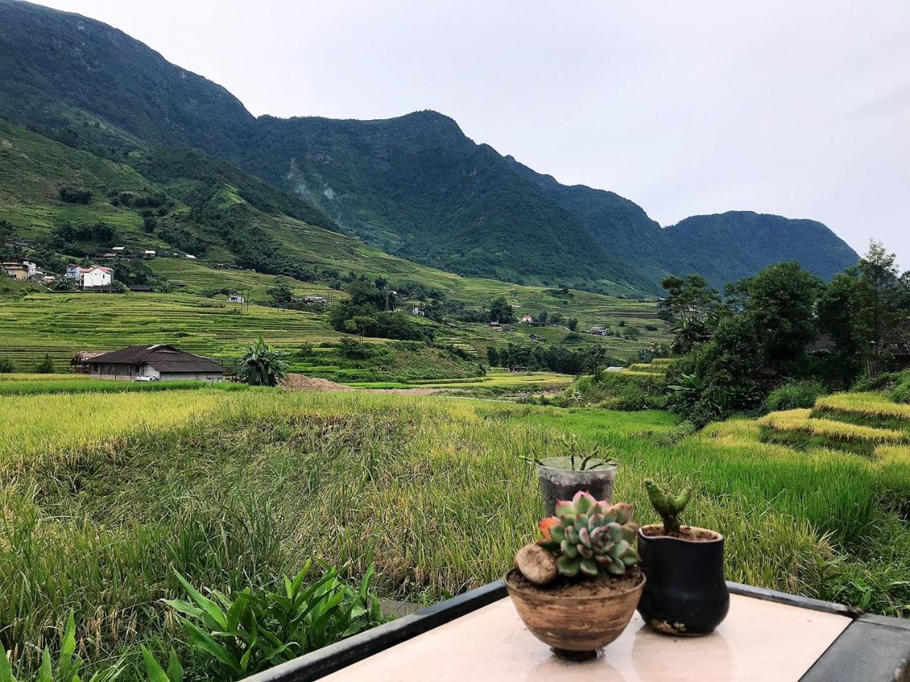 Ta Van Family Homestay photo 3