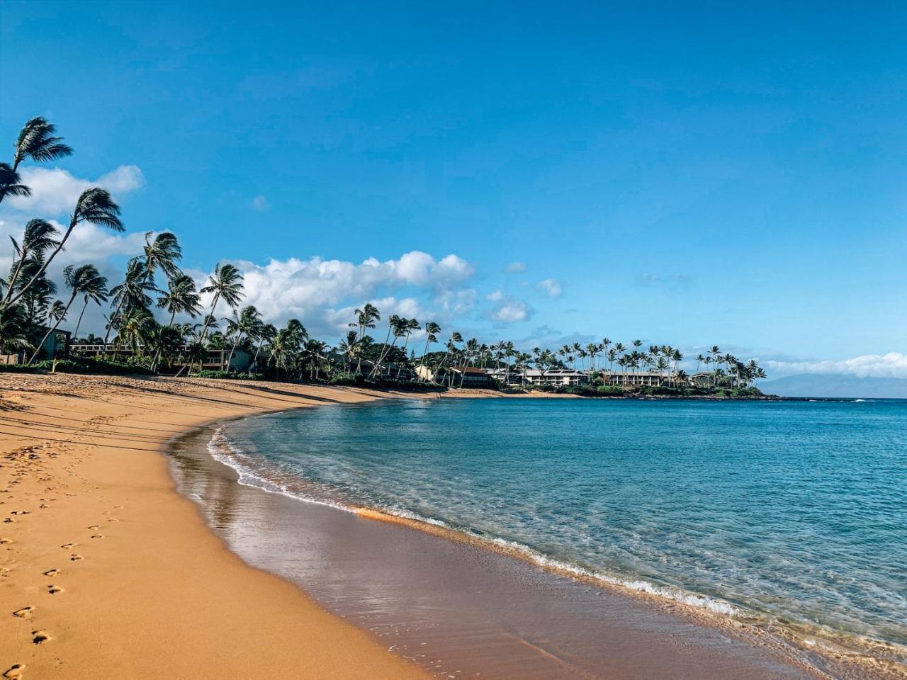 Napili Village Hotel photo 4