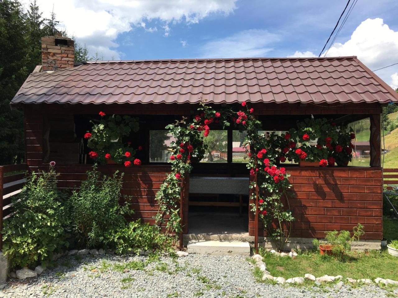 Casa Cerbu photo 2