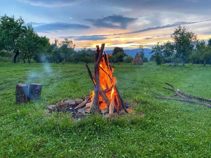 Casuța din Grădină photo 2