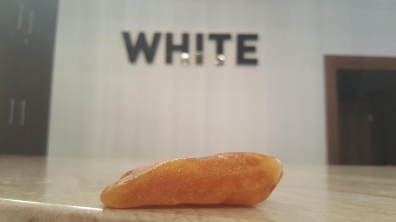 Hotel White photo 4