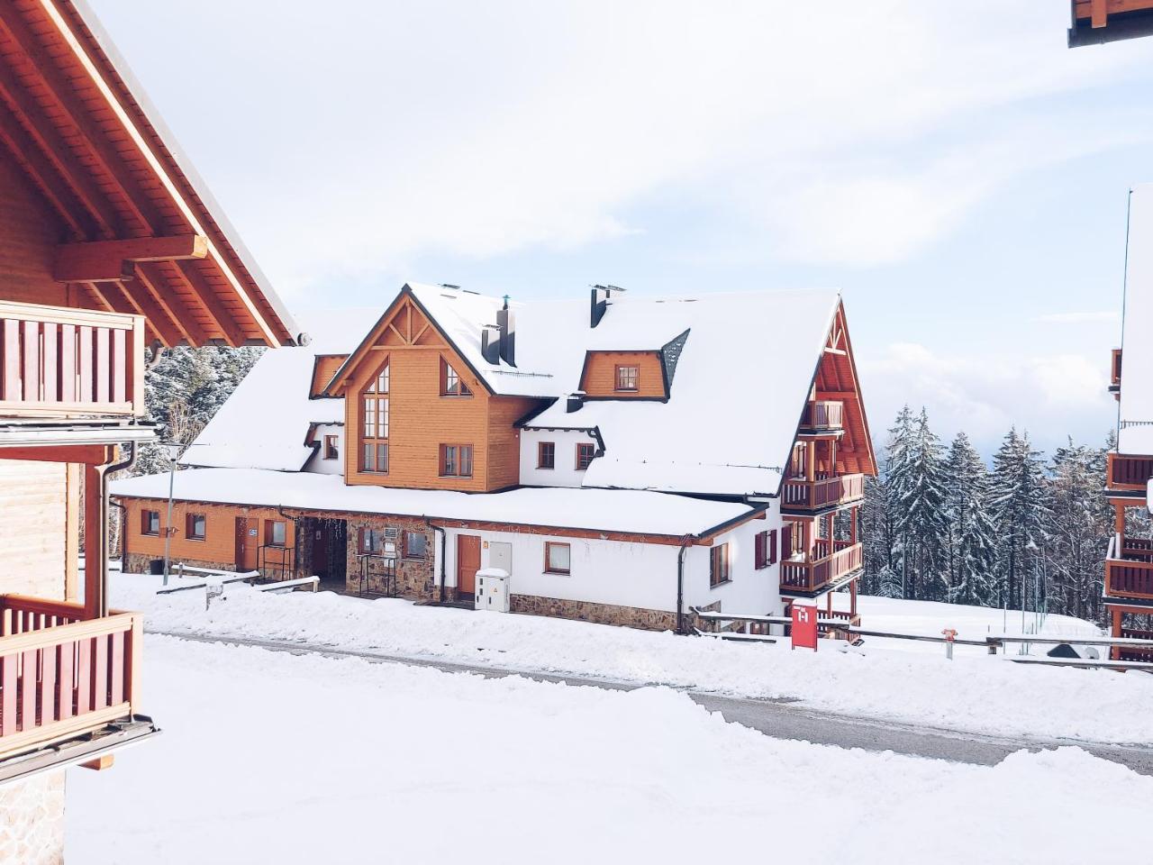 Pohorje Village Wellbeing Resort - Forest Apartments Videc - 2