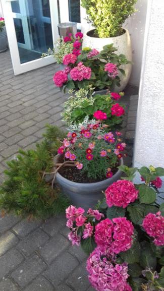 Pensjonat Landrynka - 6