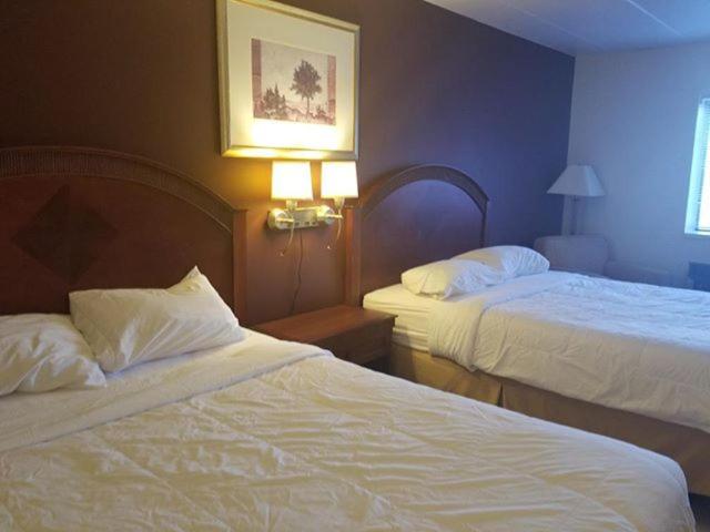 Red Apple Inn photo 2