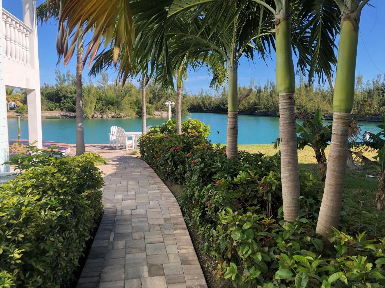 Dolphin Cove photo 3
