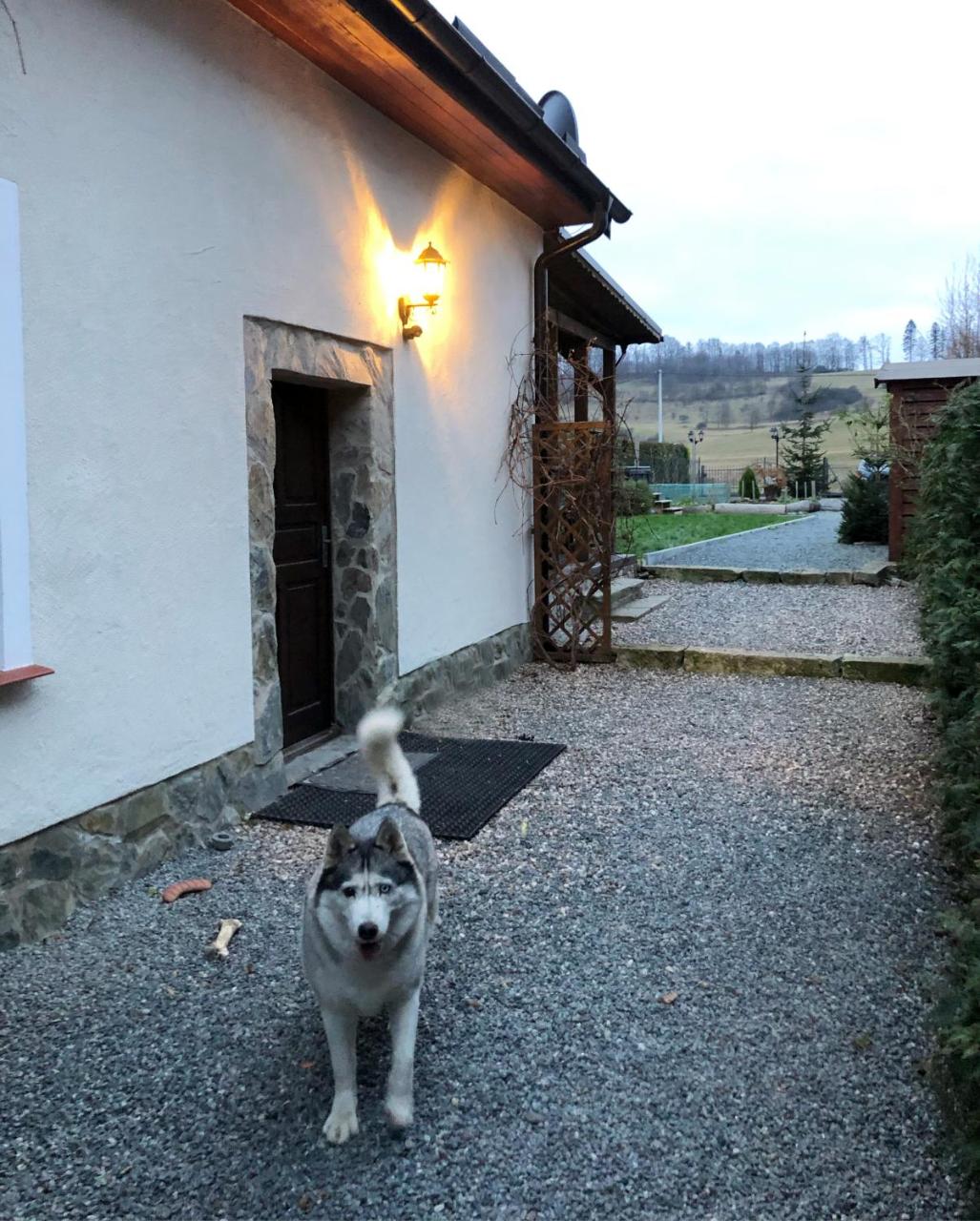 Dom Tkacki Pokoje Gościnne Jacuzzi w Ogrodzie Kudowa-Zdrój - 2