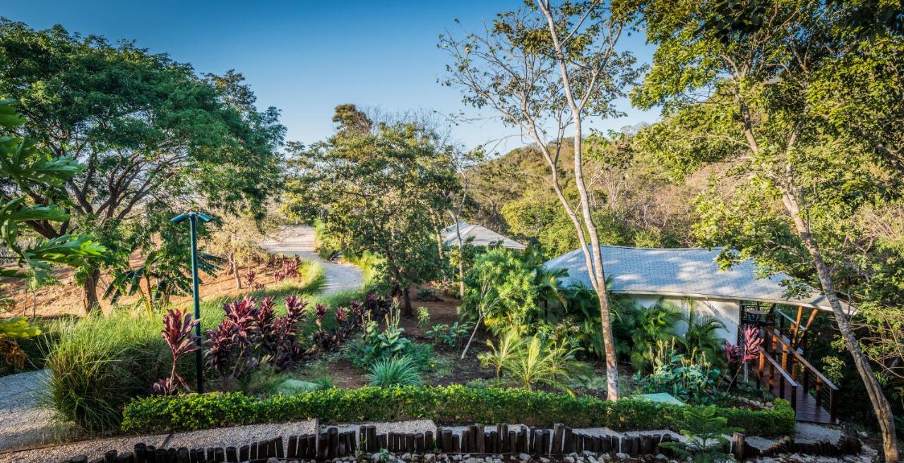 Mikado Natural Lodge photo 2