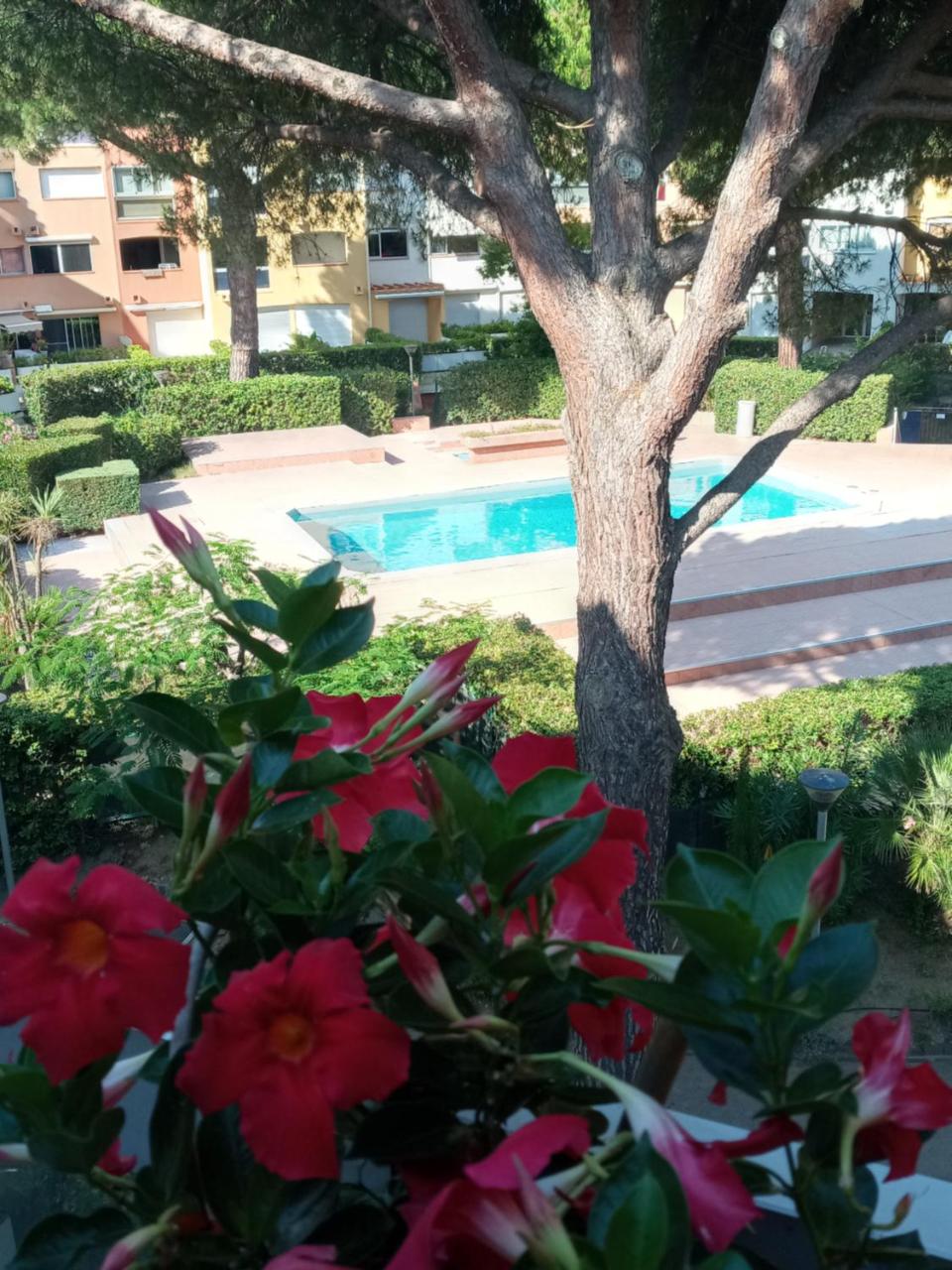 DUPLEX CAP D AGDE PISCINE - 2