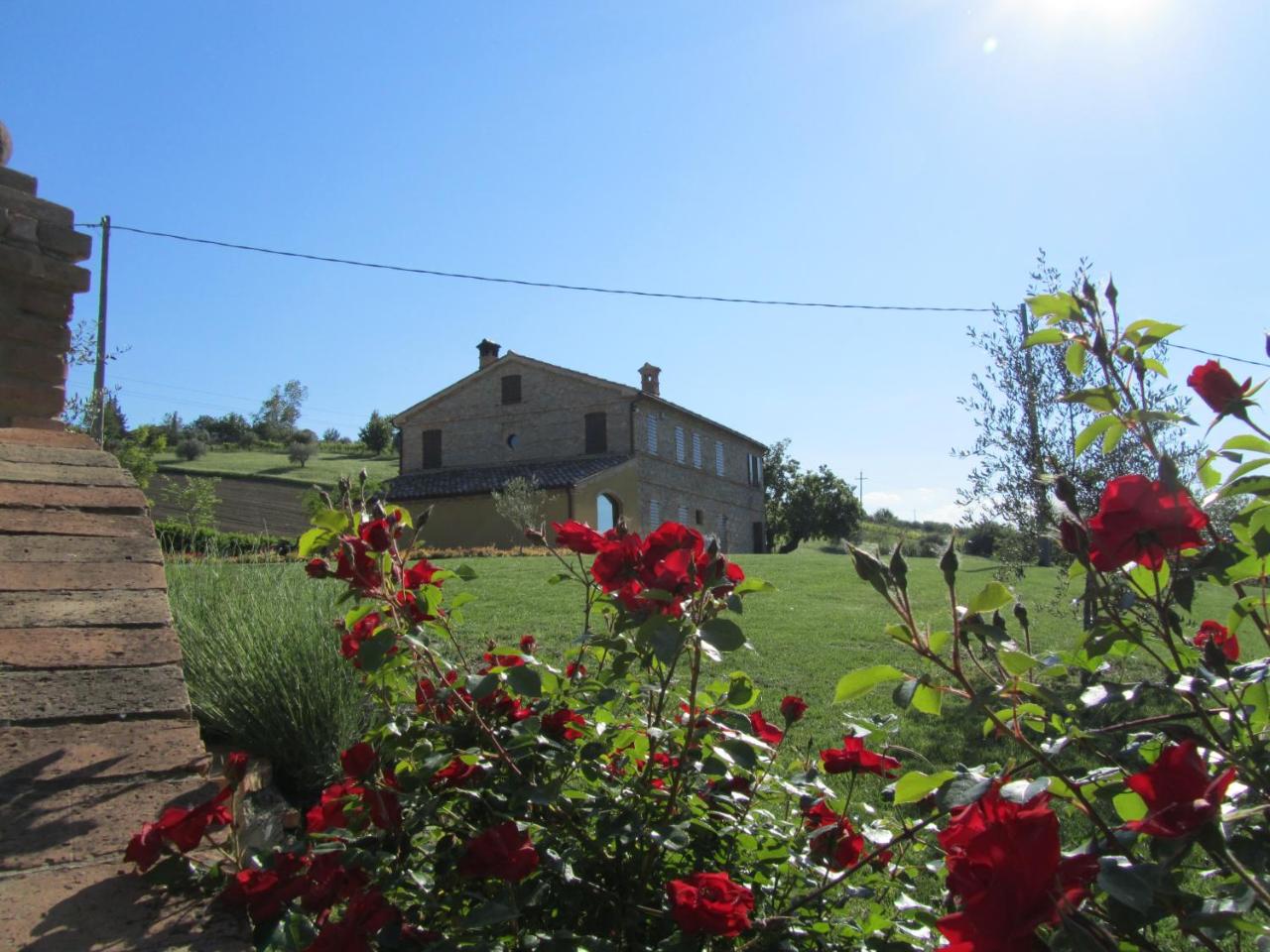 Agriturismo La Vecchia Fonte photo 4