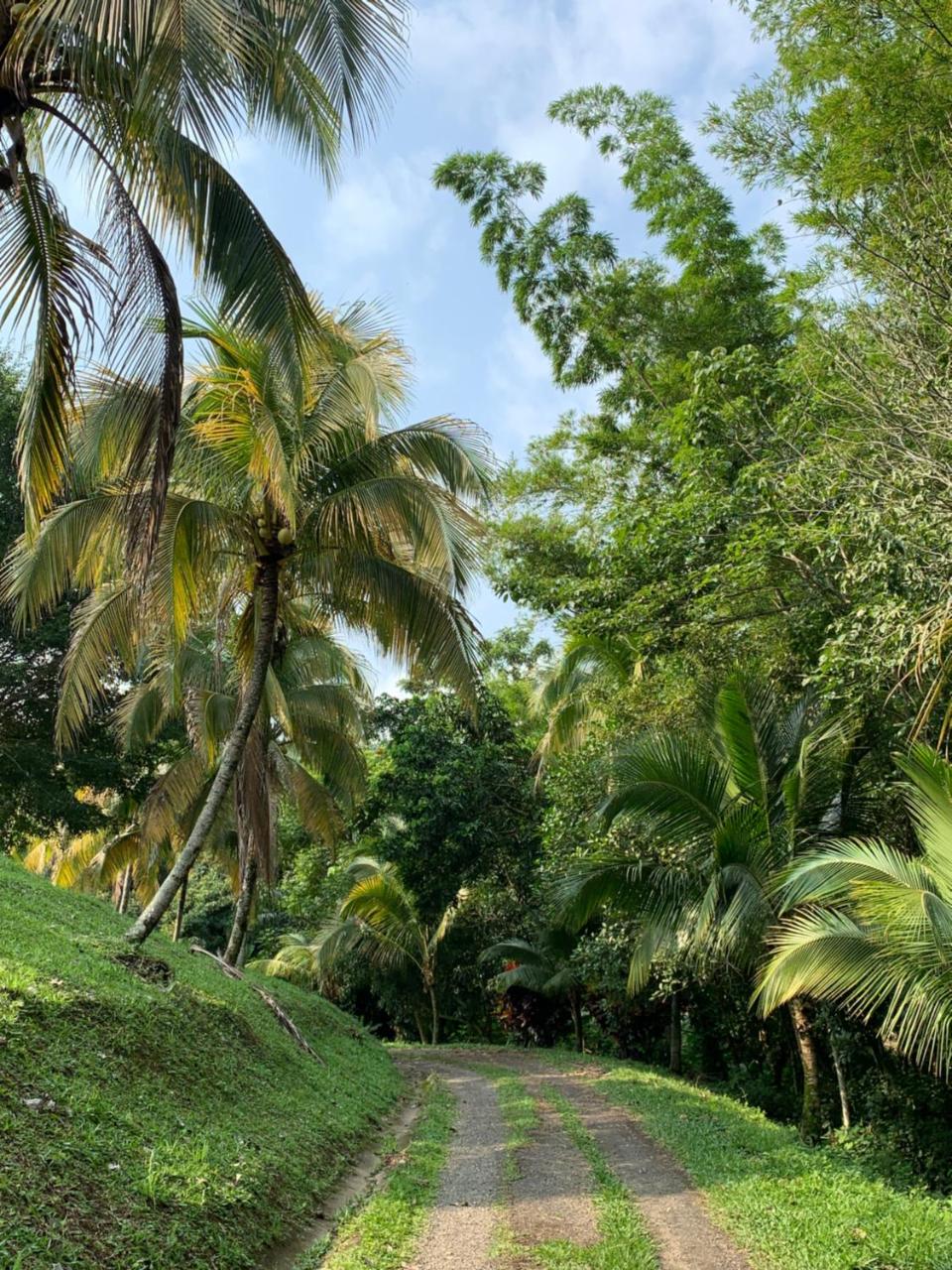 Villa Calusa photo 2