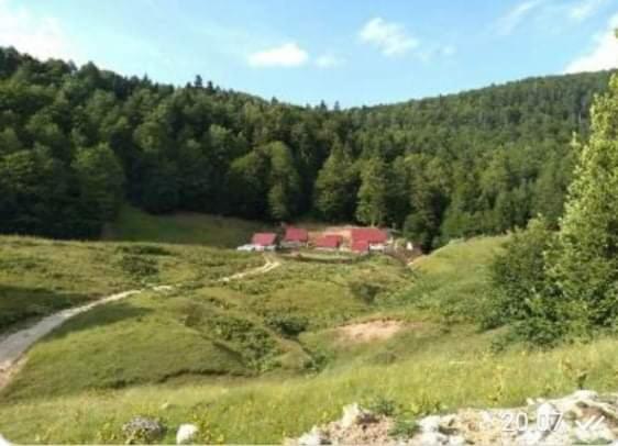 Dulović - KATUN POTOCI photo 2