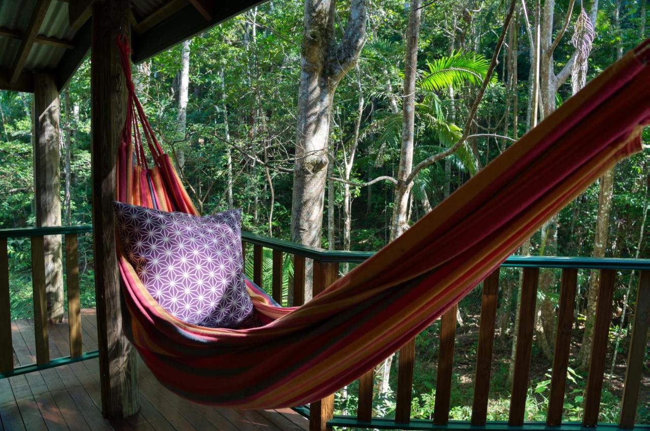 Narrows Escape Rainforest Retreat photo 3