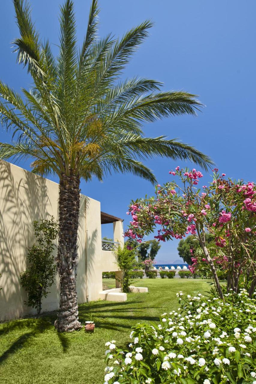 Kipriotis Maris Suites photo 3