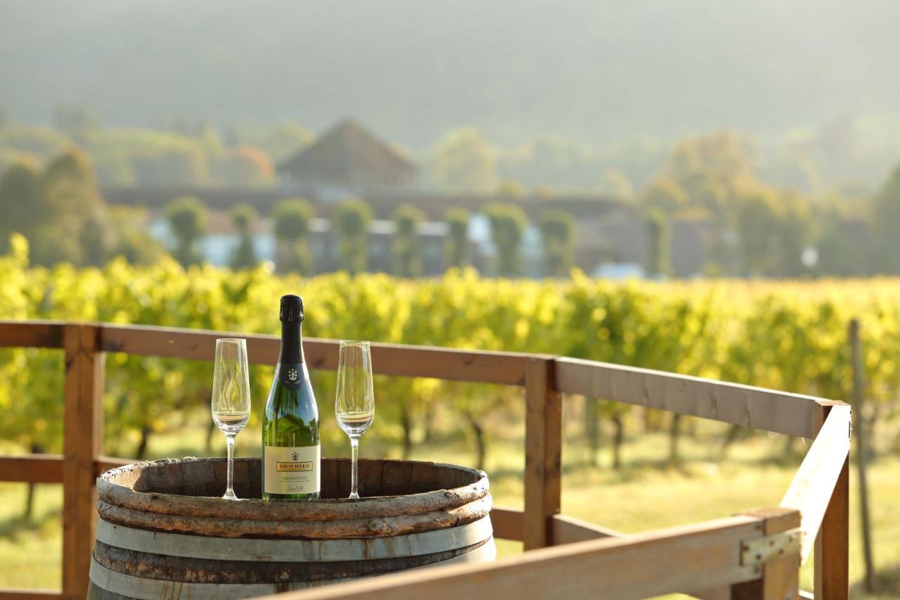 Denbies Vineyard Hotel - 2