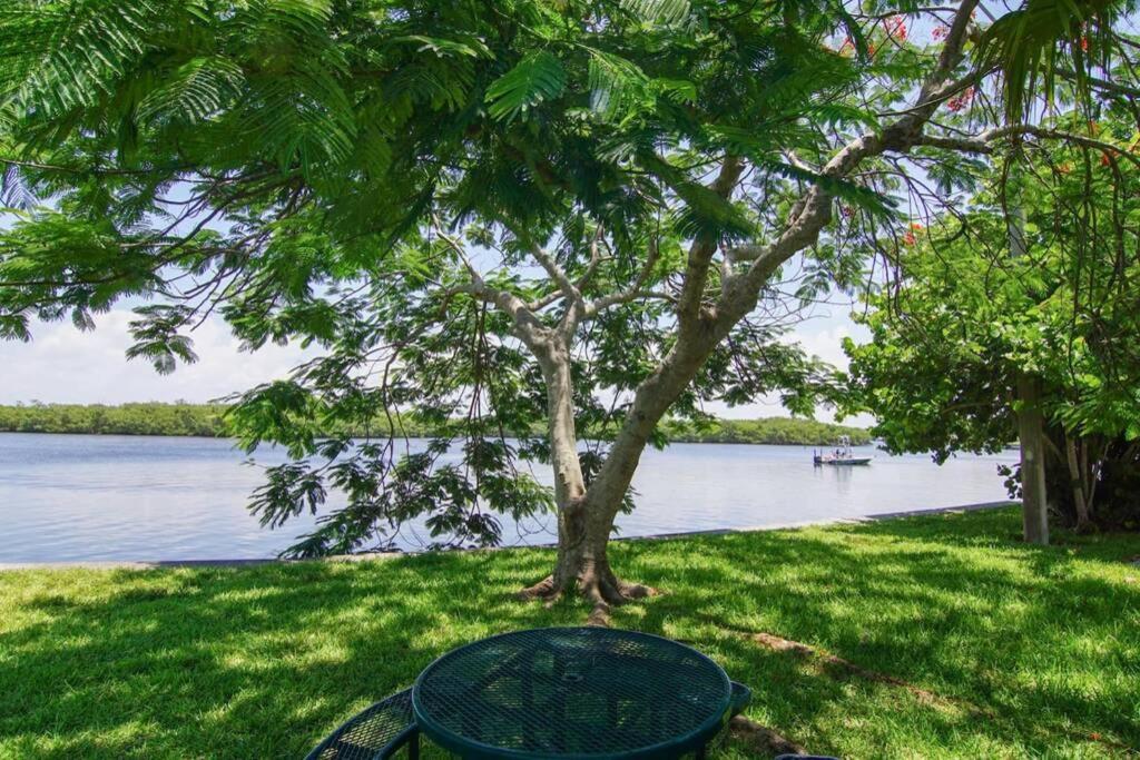 Little Harbor Resort #507 Tampa Bay FL Beach, Riverview Romance photo 3