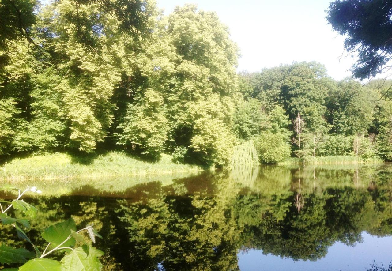 Carmina am See photo 2
