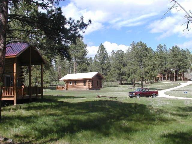Renegade Log Cabin photo 3