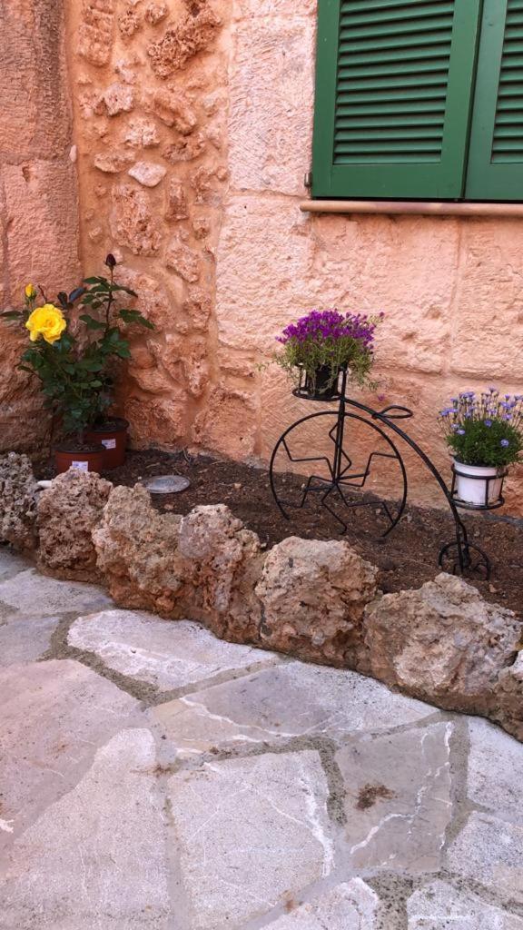 Photo - Petit Hotel Algaida