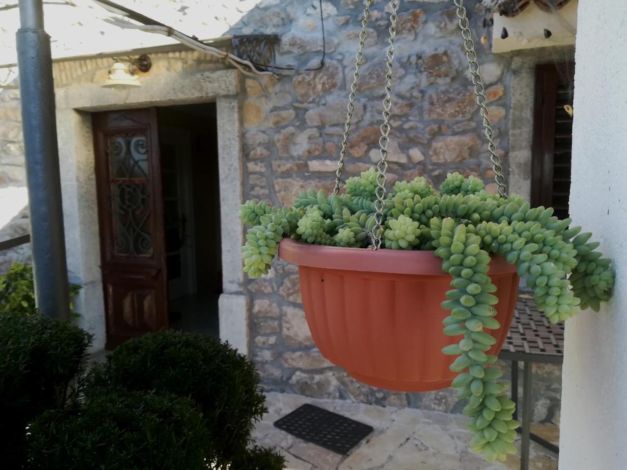 House Pelcic Kostrena - 4