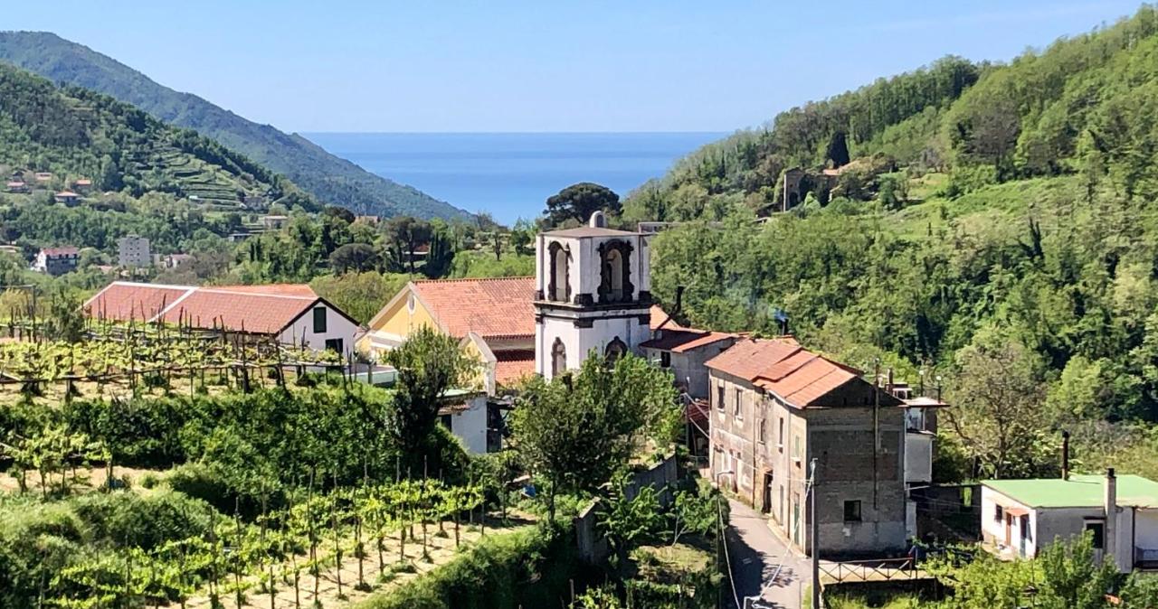 Foto - Farfalle e Gabbiani