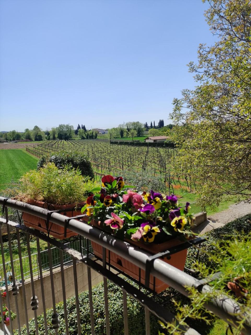 Agriturismo La Vigna photo 3