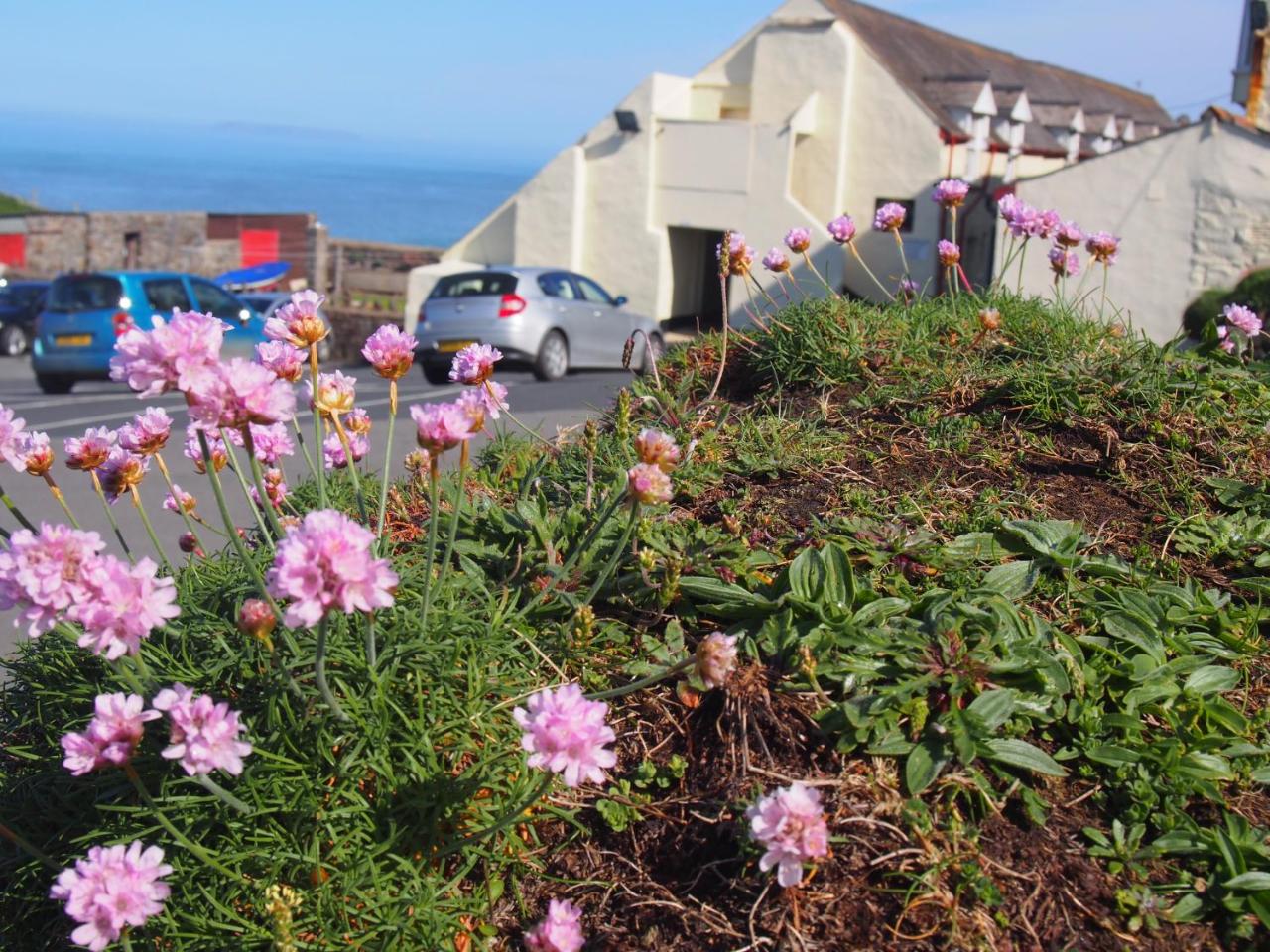 Hartland Quay Hotel photo 4