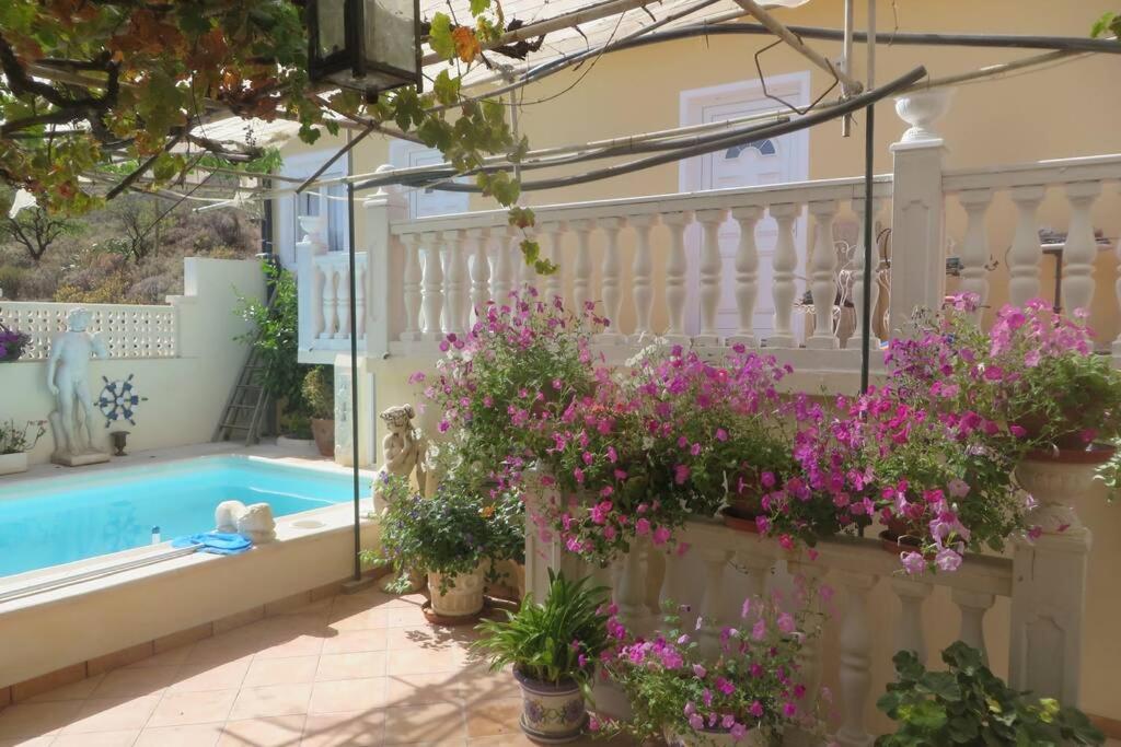 Finca Cortez Apartment 2 - 4