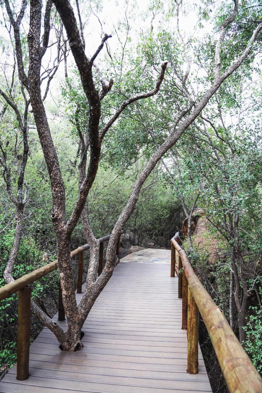 Madikwe Hills Private Game Lodge photo 2