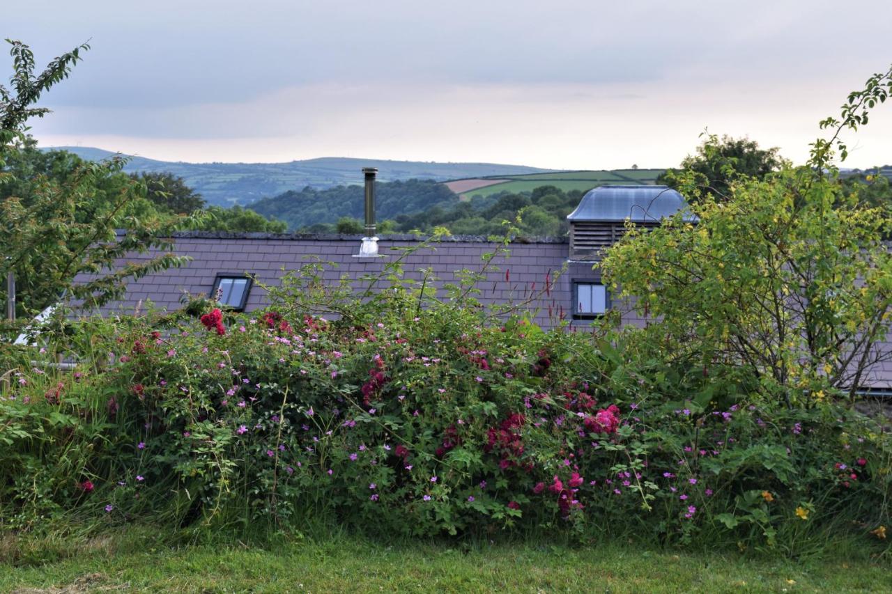 Nantgwynfaen Organic Farm Wales photo 2