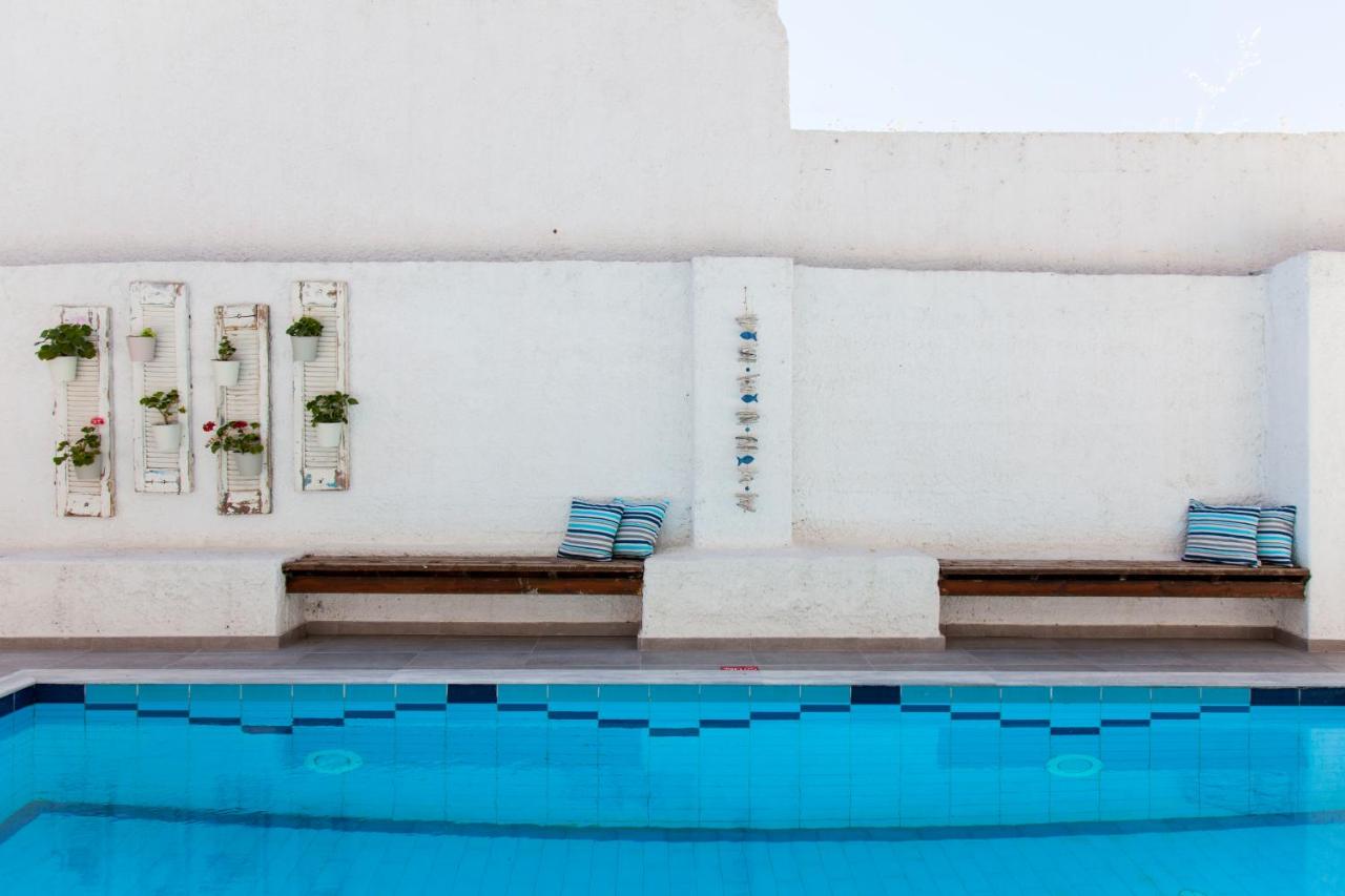 Photo - Elychryson