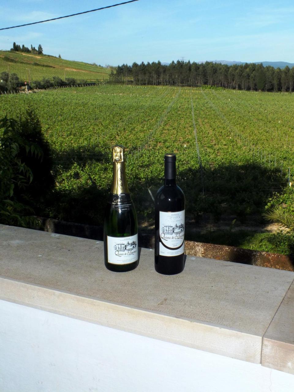 Photo - Quinta de São Lourenço