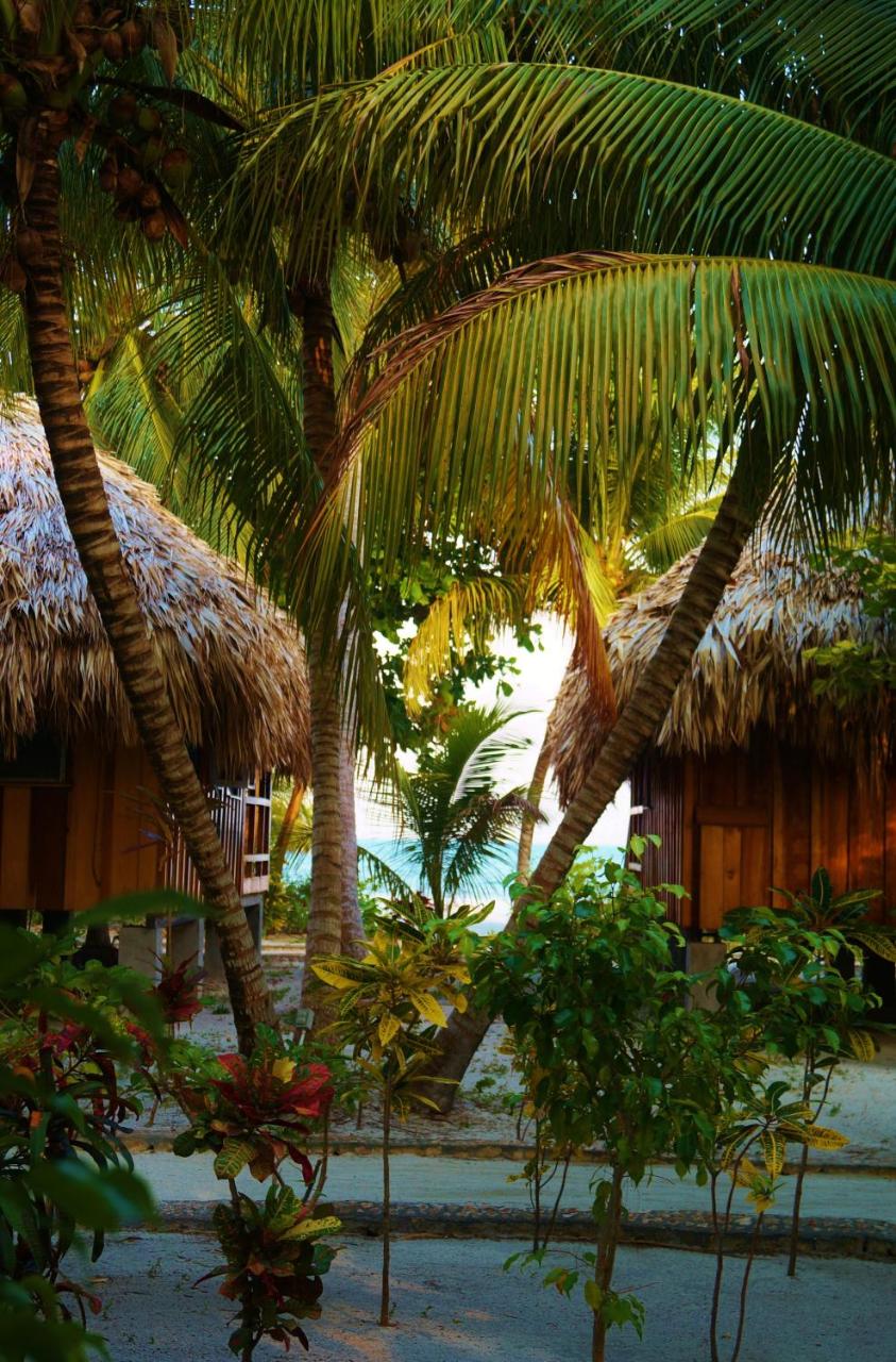 Photo - St. George's Caye Resort
