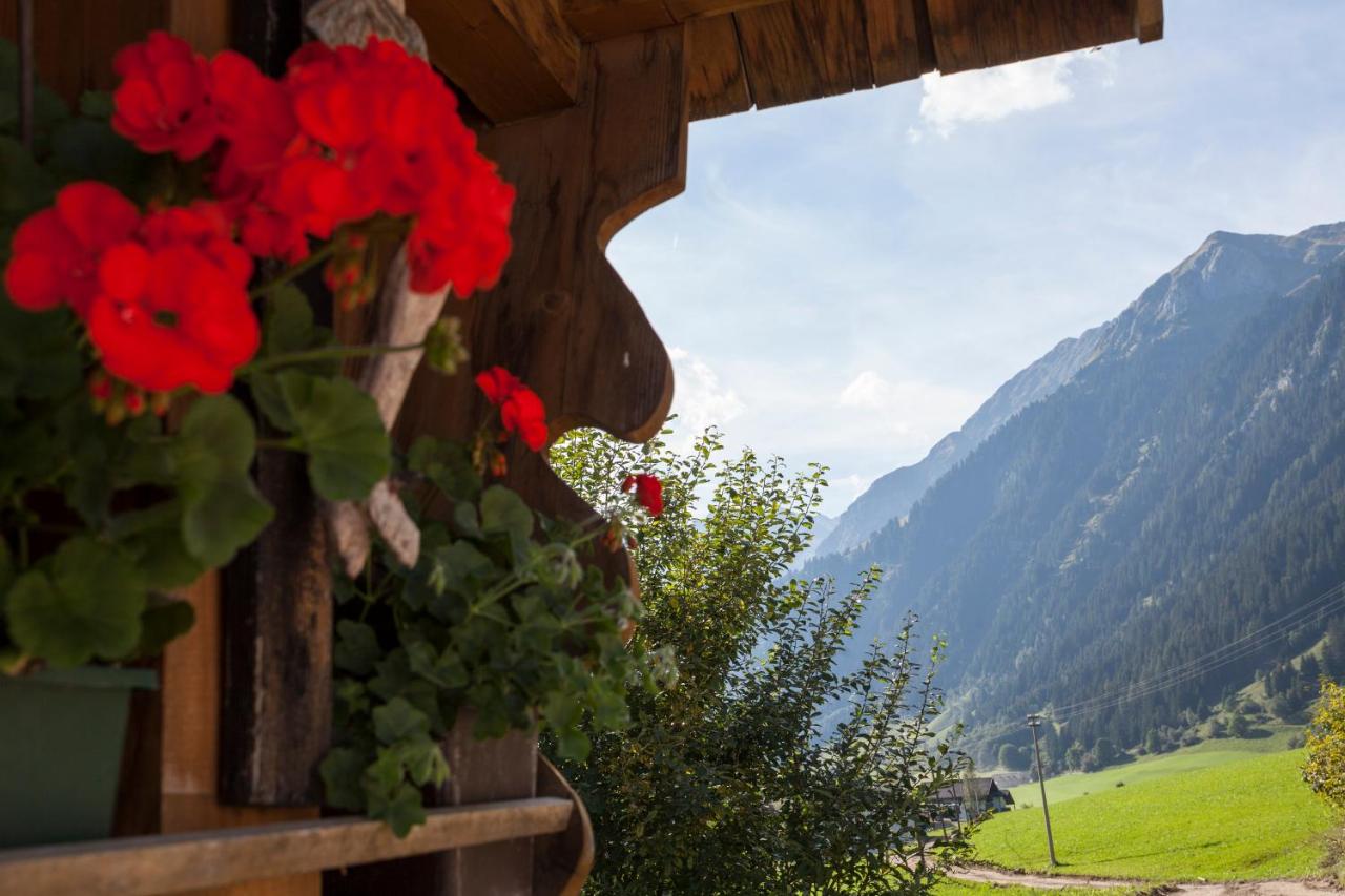 Alpenspitz Appartements - Garni - B&B photo 3