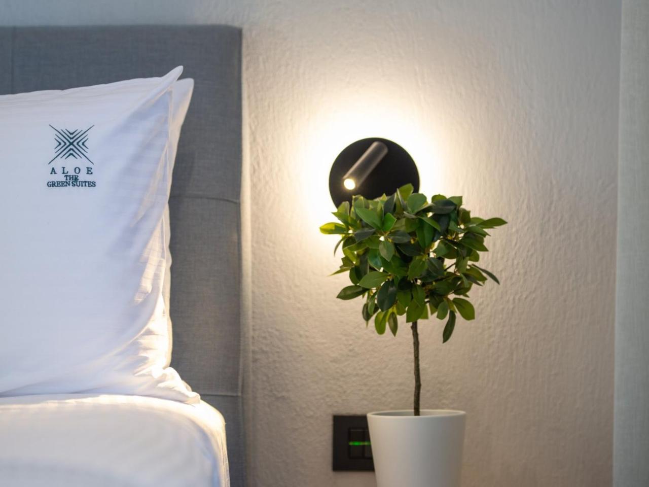 Aloe The Green Suites - Nikiti Halkidiki - 6