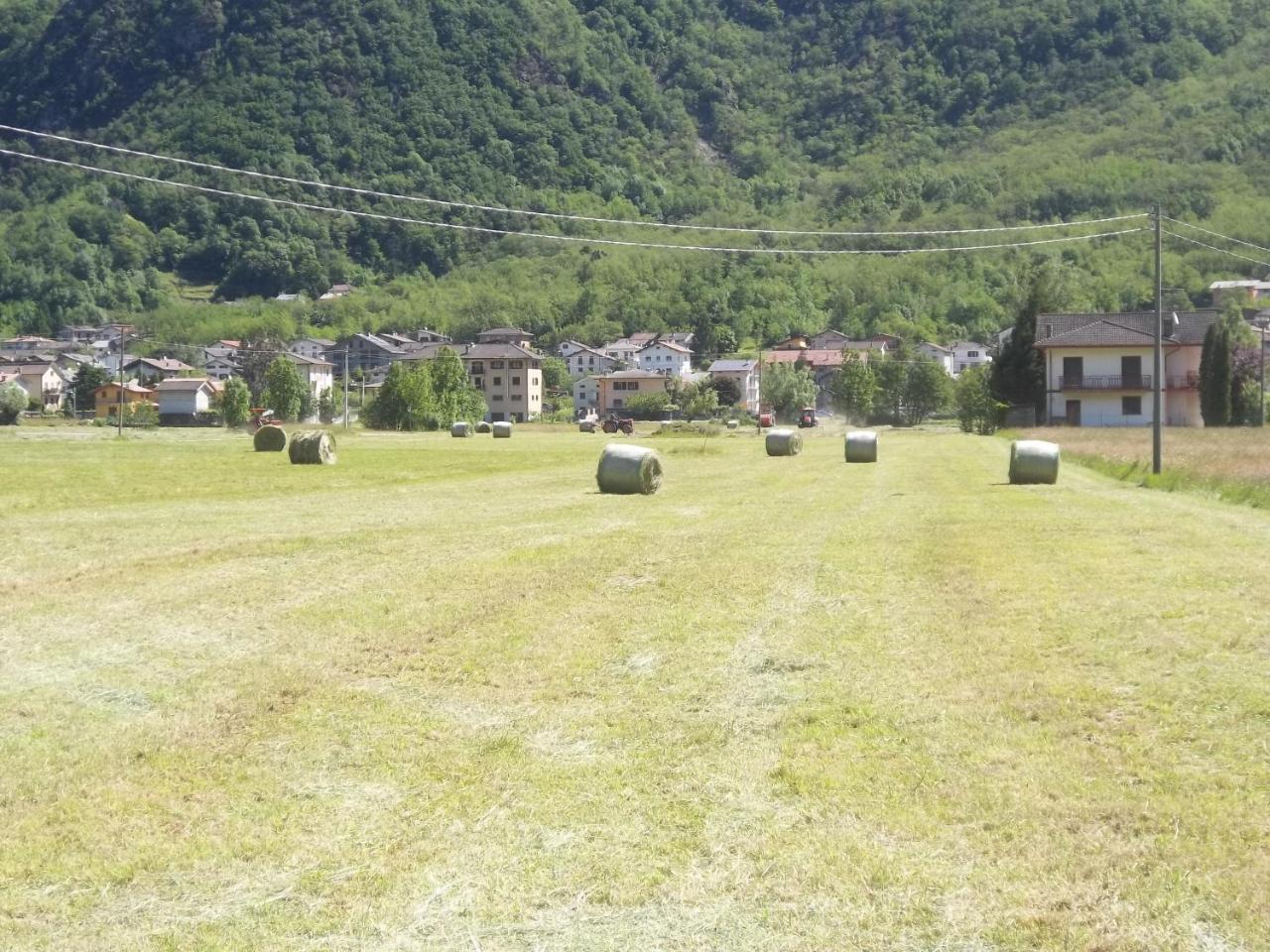 Agriturismo Al Palaz photo 3