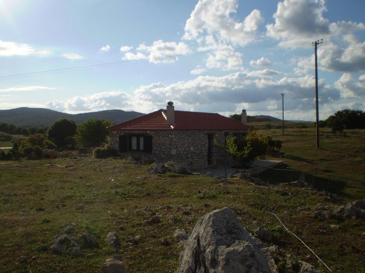 Arachovitika Kalivia photo 4