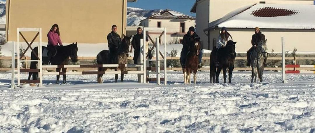 House of Horses Shtepia e Kuajve photo 2