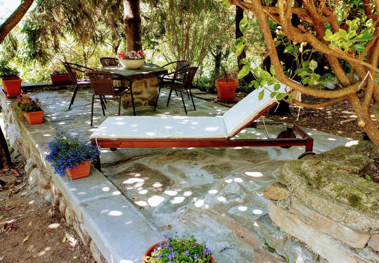 Casa Visnenza Bed & Breakfast photo 2
