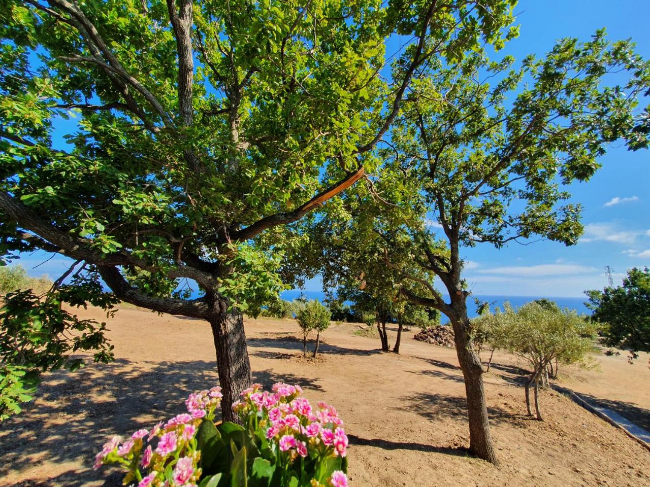 Agriturismo Le Terre di Veneré photo 4