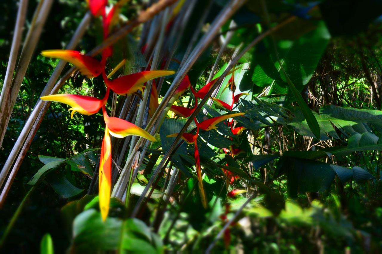 Casa Alibri - Nature Guesthouse photo 4