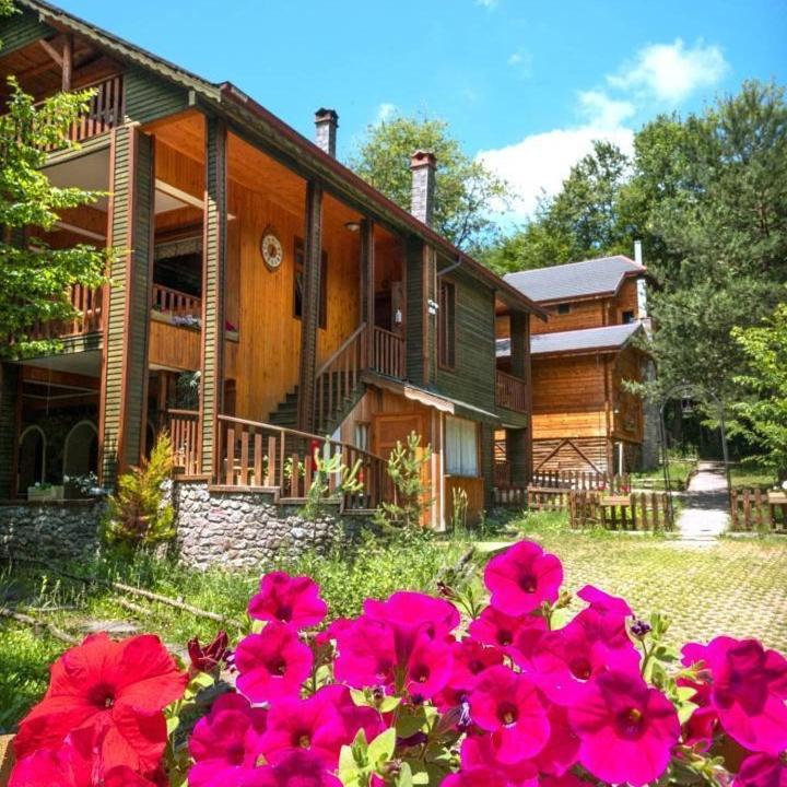 Abant Korudam bungalov butik otel photo 2