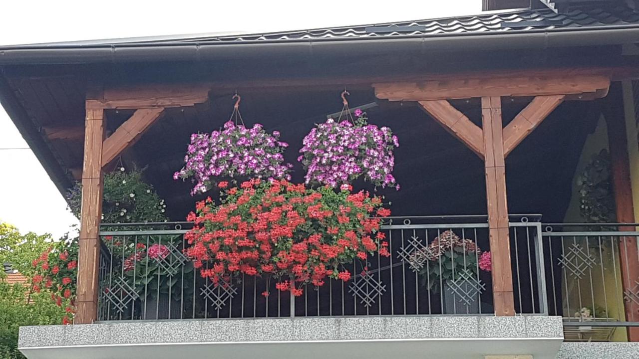 APARTMANI KSENIJA - 6
