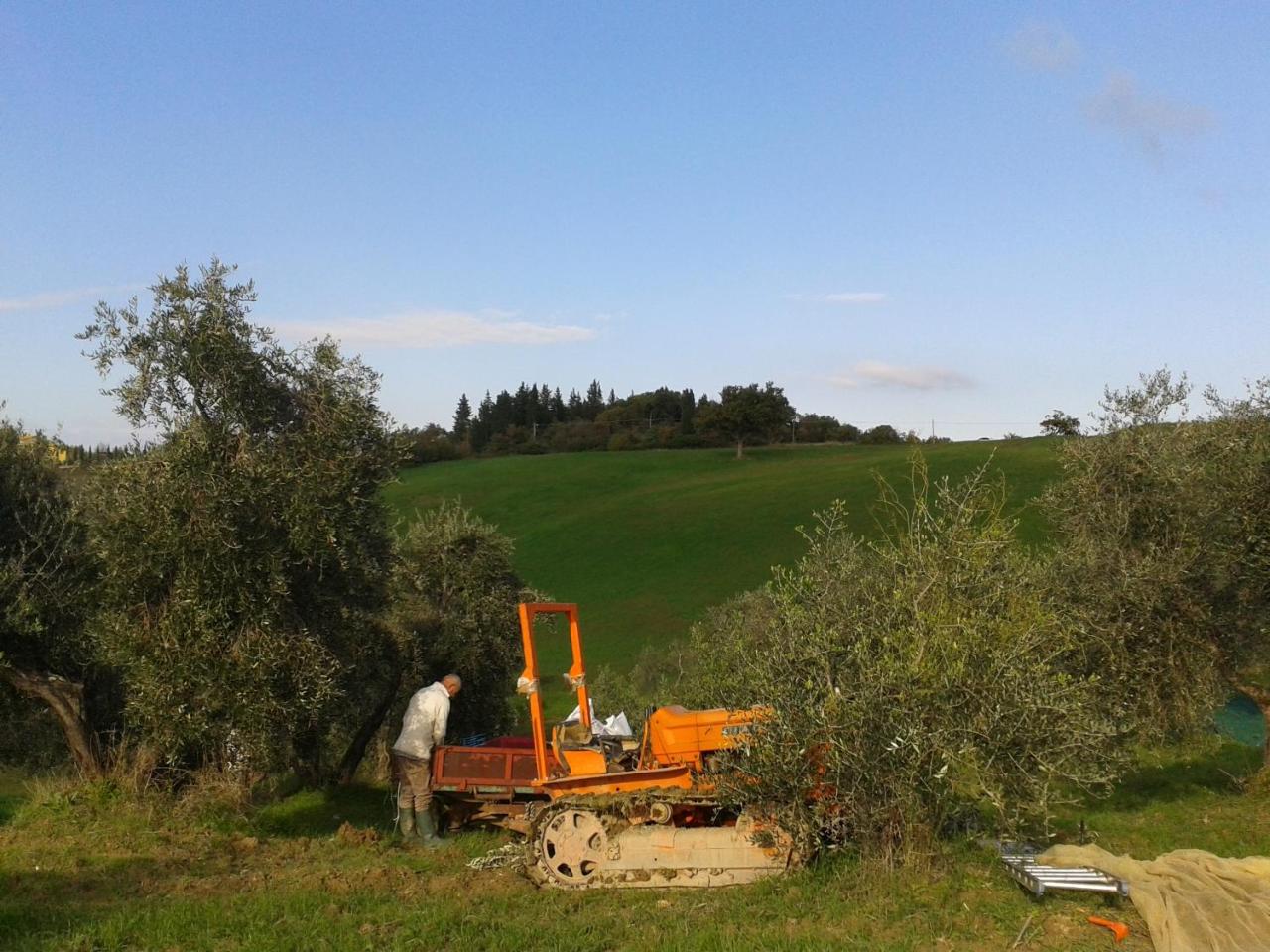 Agriturismo Santa Chiara photo 3