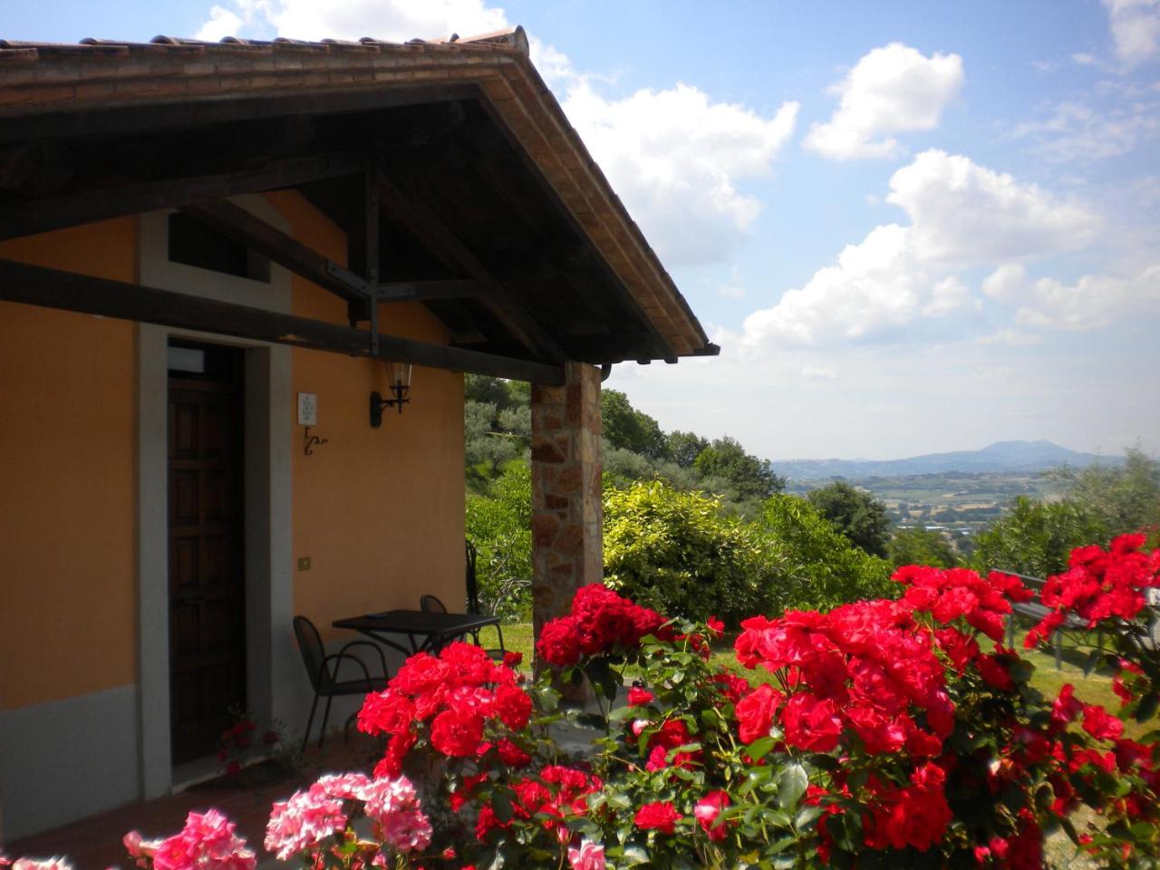 Il Poggio degli Olivi photo 2