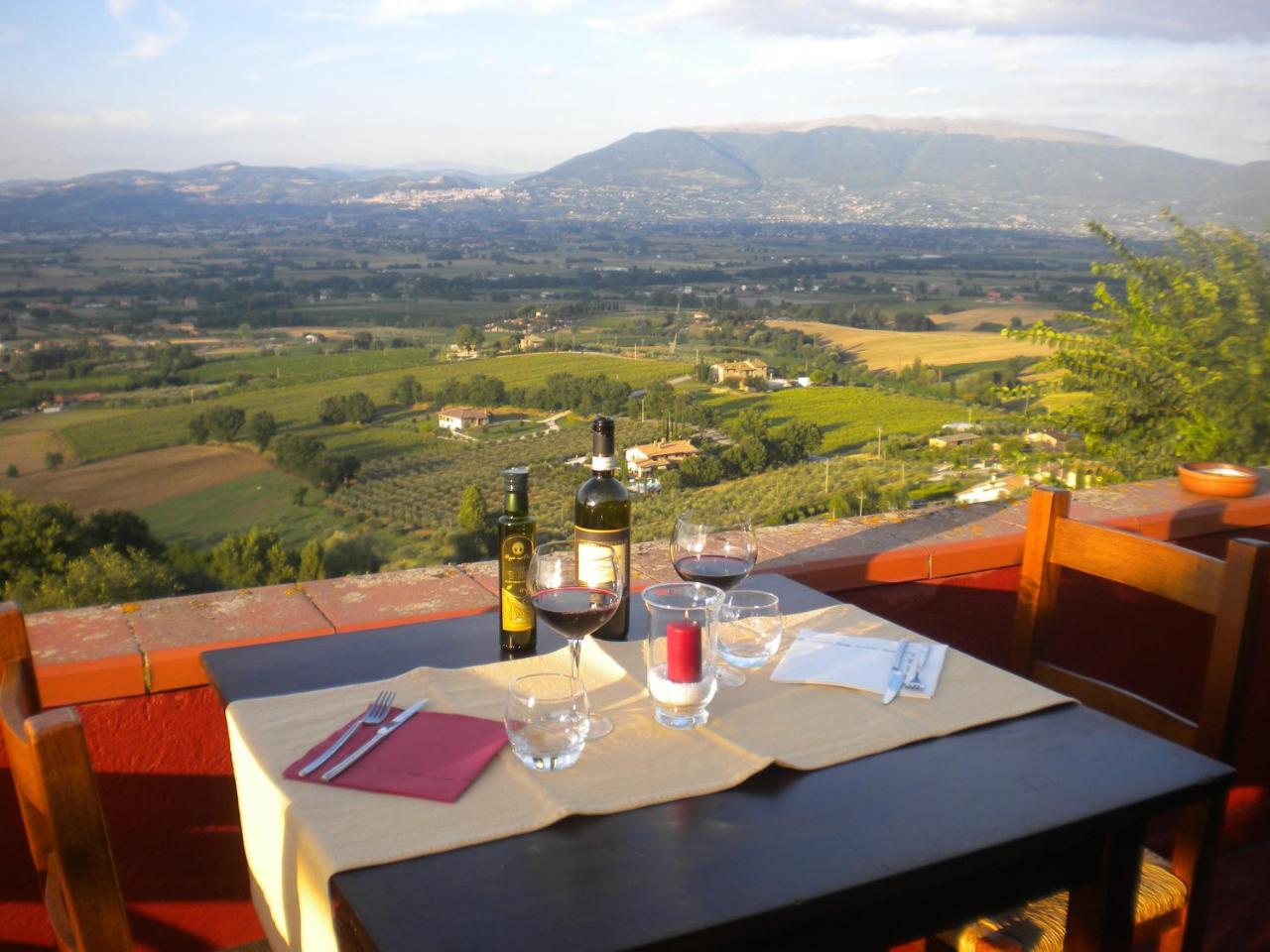 Il Poggio degli Olivi photo 3